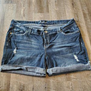 Amethyst Plus Size 22 Jean/Denim Distressed Shorts Folded or unfolded bottom Wom